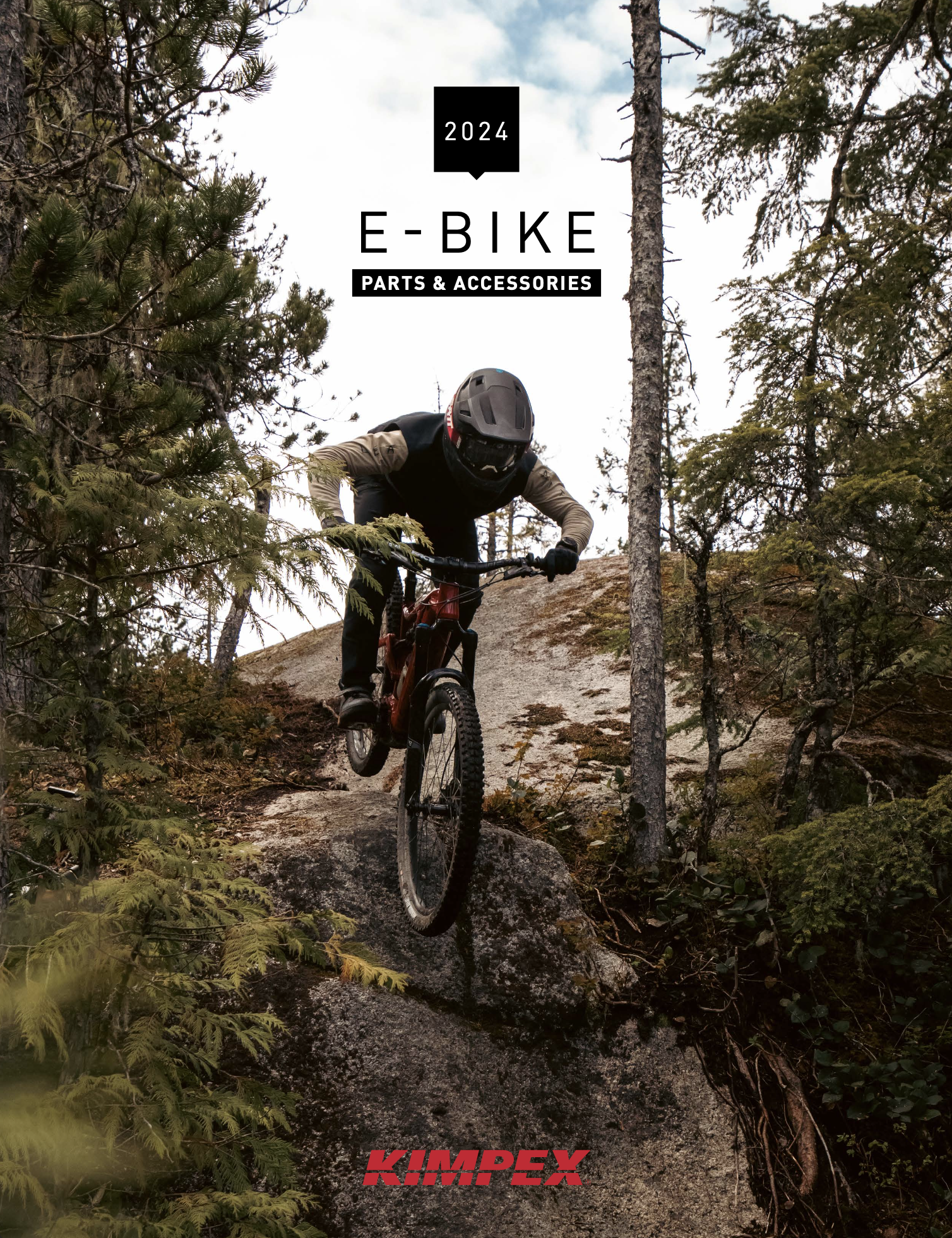 E-Bike 2024
